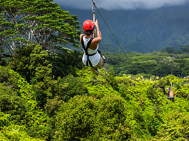 Zipline