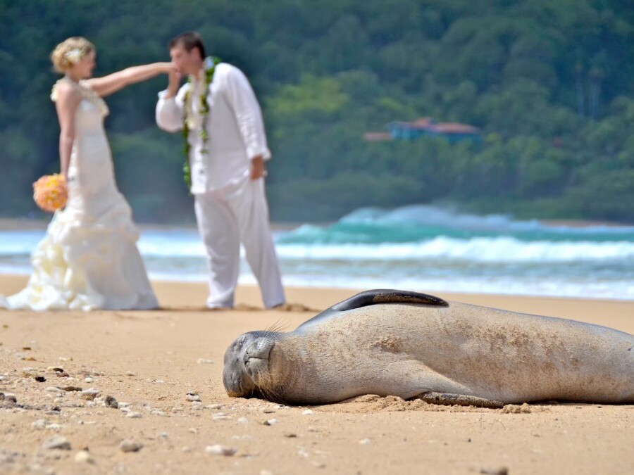 Ursprüngliche Kulisse auf Kauai