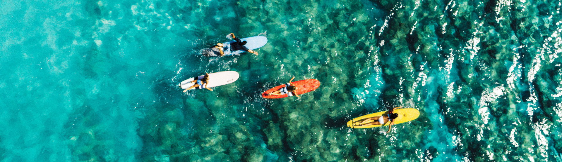 My Hawaii Tours - Reise nach Hawaii - Geführte Tagesausflüge